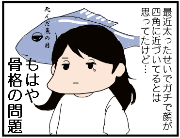 f:id:kokkoco:20210612223600p:plain