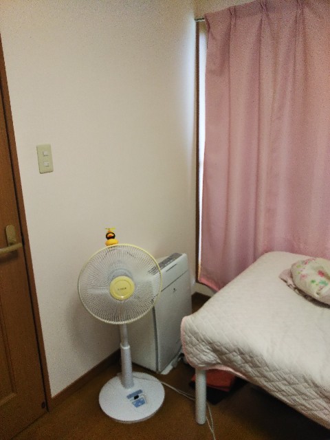 f:id:kokkoco:20210617205822j:image