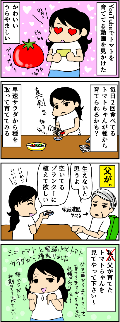 f:id:kokkoco:20210728211155p:plain
