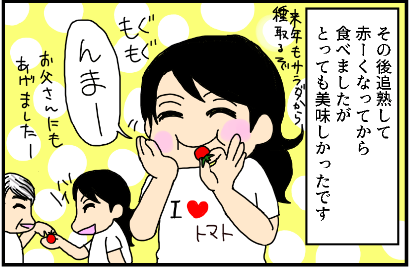 f:id:kokkoco:20210728211331p:plain