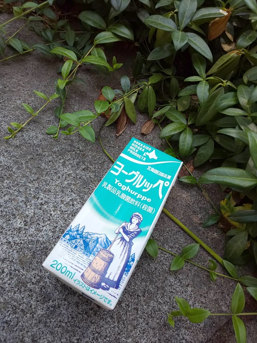 f:id:kokkurin:20210626152657j:plain