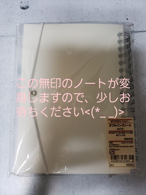 f:id:koko-kore:20190302182818j:plain f:id:koko-kore:20190302182818j:plain