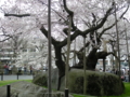 20100502111740