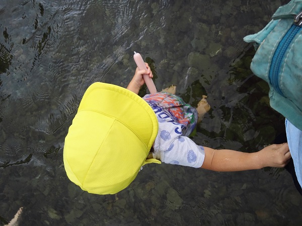 f:id:kokohare:20160803224115j:plain