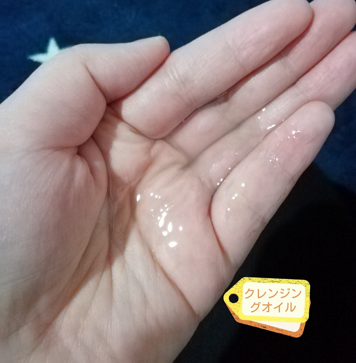 f:id:kokohore333:20190505153908j:plain f:id:kokohore333:20190505153908j:plain