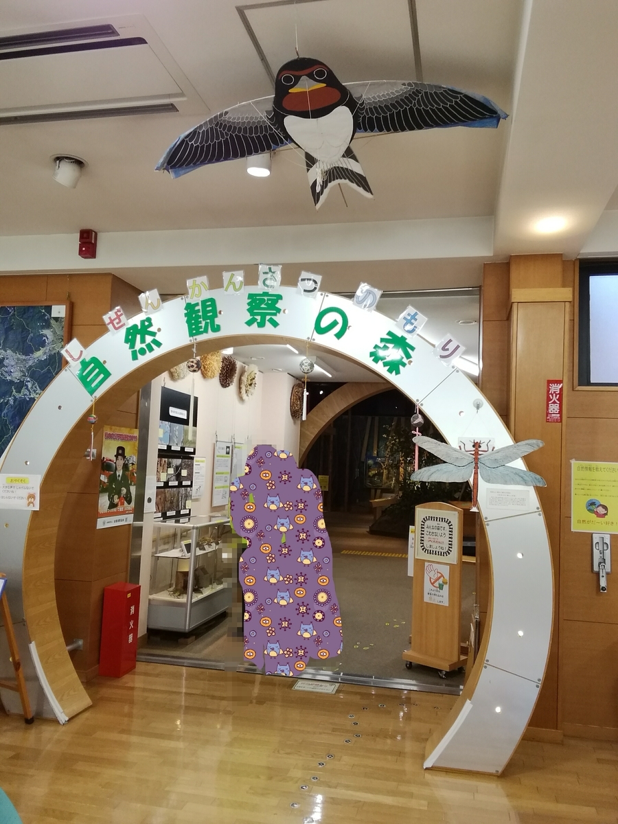f:id:kokohore333:20191120091604j:plain f:id:kokohore333:20191120091604j:plain
