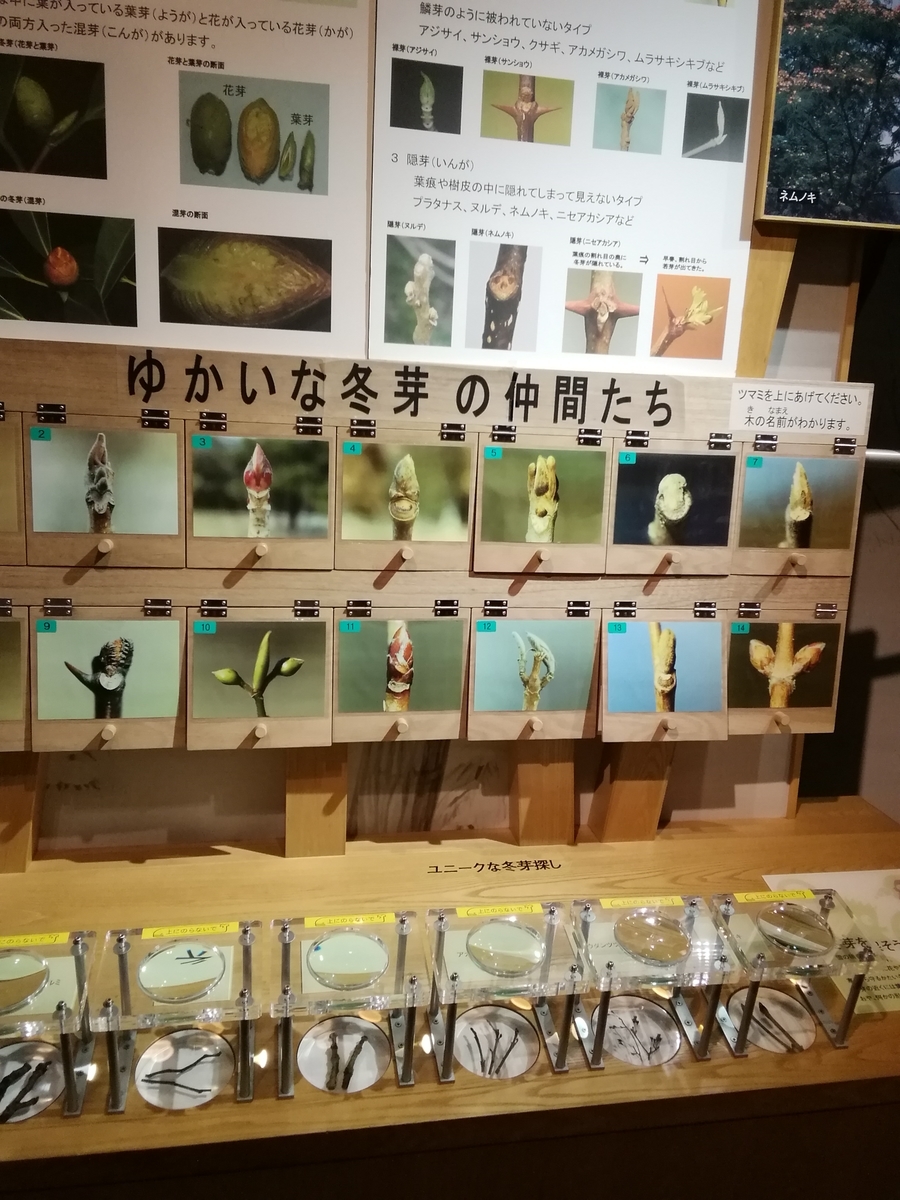 f:id:kokohore333:20191120091640j:plain f:id:kokohore333:20191120091640j:plain