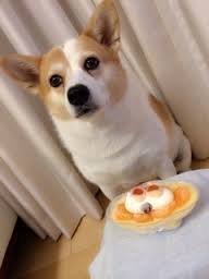 チップ5