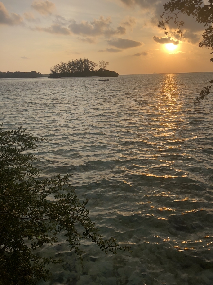 f:id:kokokokua2:20191102235718j:plain f:id:kokokokua2:20191102235718j:plain