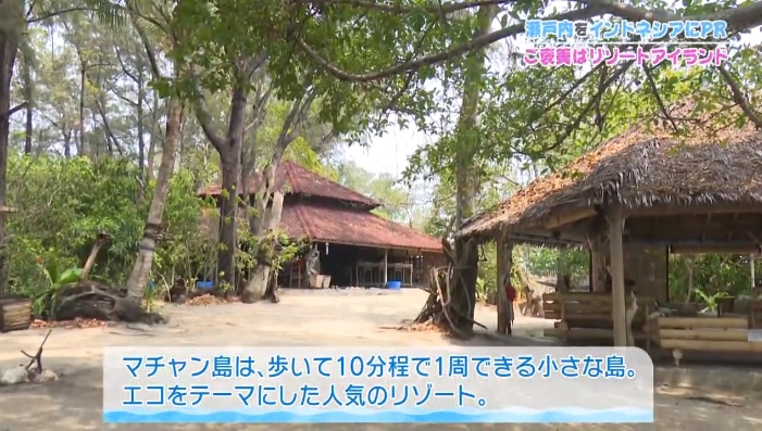f:id:kokokokua2:20191103000744j:plain f:id:kokokokua2:20191103000744j:plain