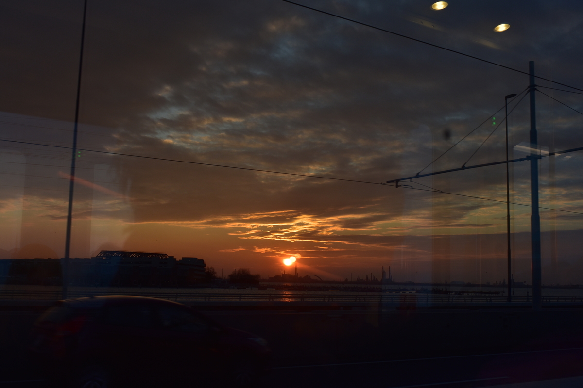 f:id:kokomie0207:20190920164004j:plain f:id:kokomie0207:20190920164004j:plain
