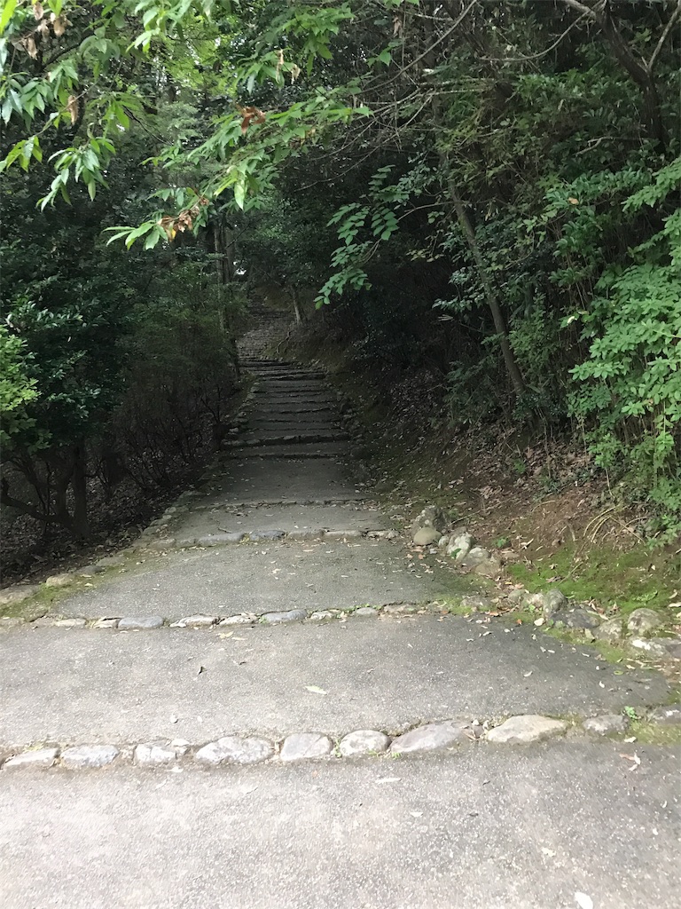 f:id:kokomie0207:20190923183905j:image f:id:kokomie0207:20190923183905j:image