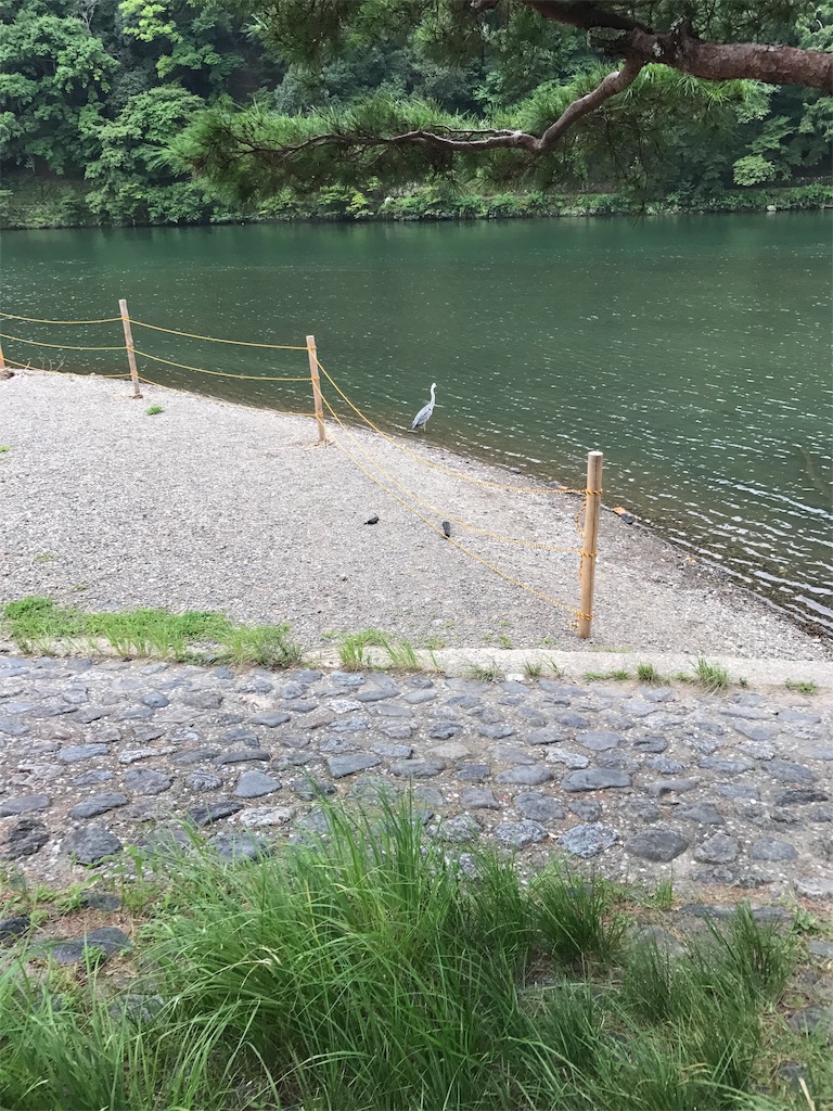 f:id:kokomie0207:20190923184046j:image f:id:kokomie0207:20190923184046j:image
