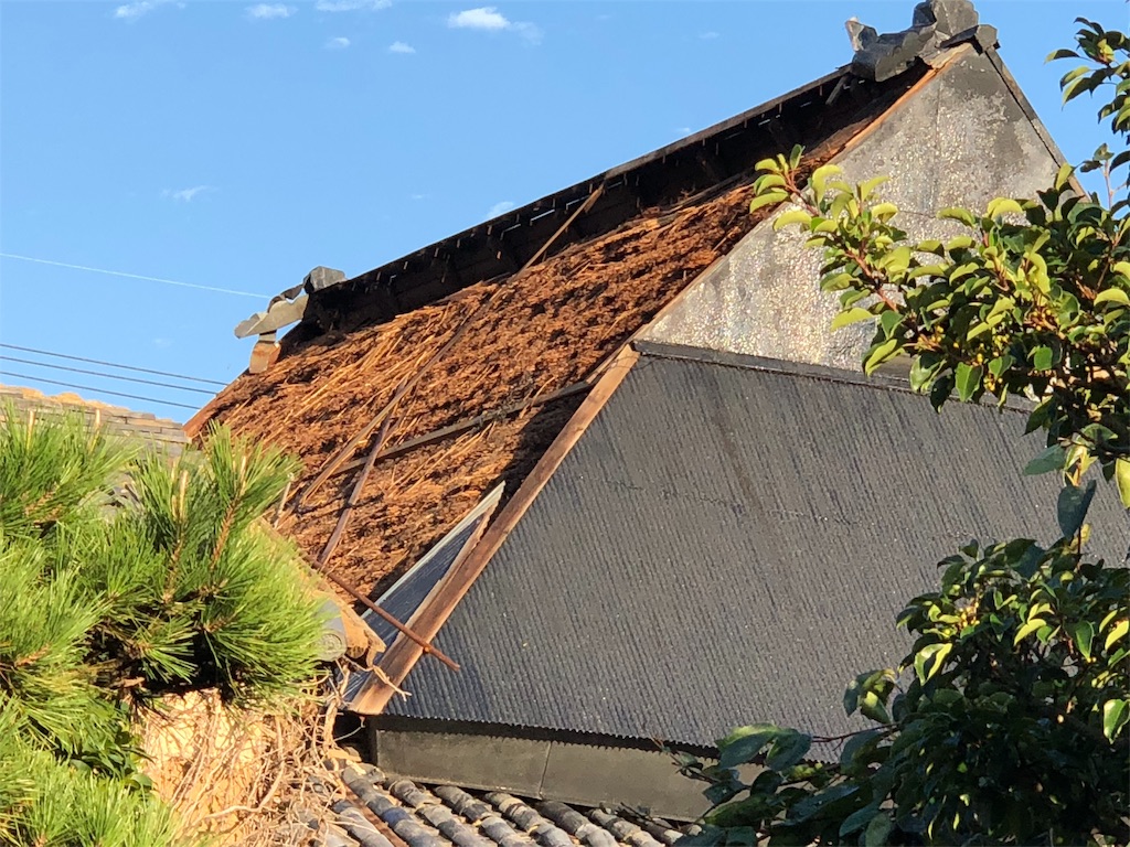 f:id:kokona-88:20180915074909j:image f:id:kokona-88:20180915074909j:image