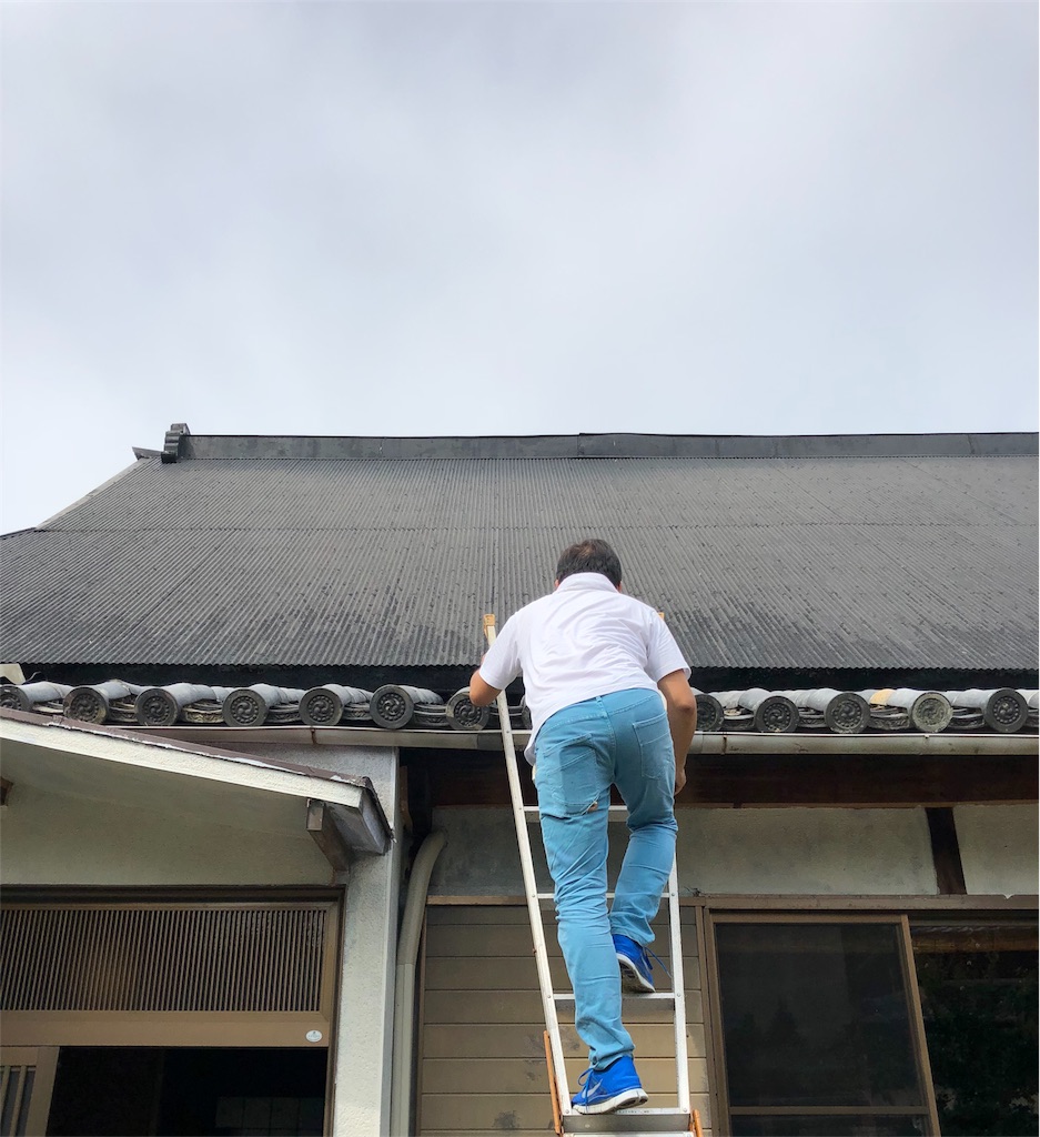 f:id:kokona-88:20180915080329j:image f:id:kokona-88:20180915080329j:image