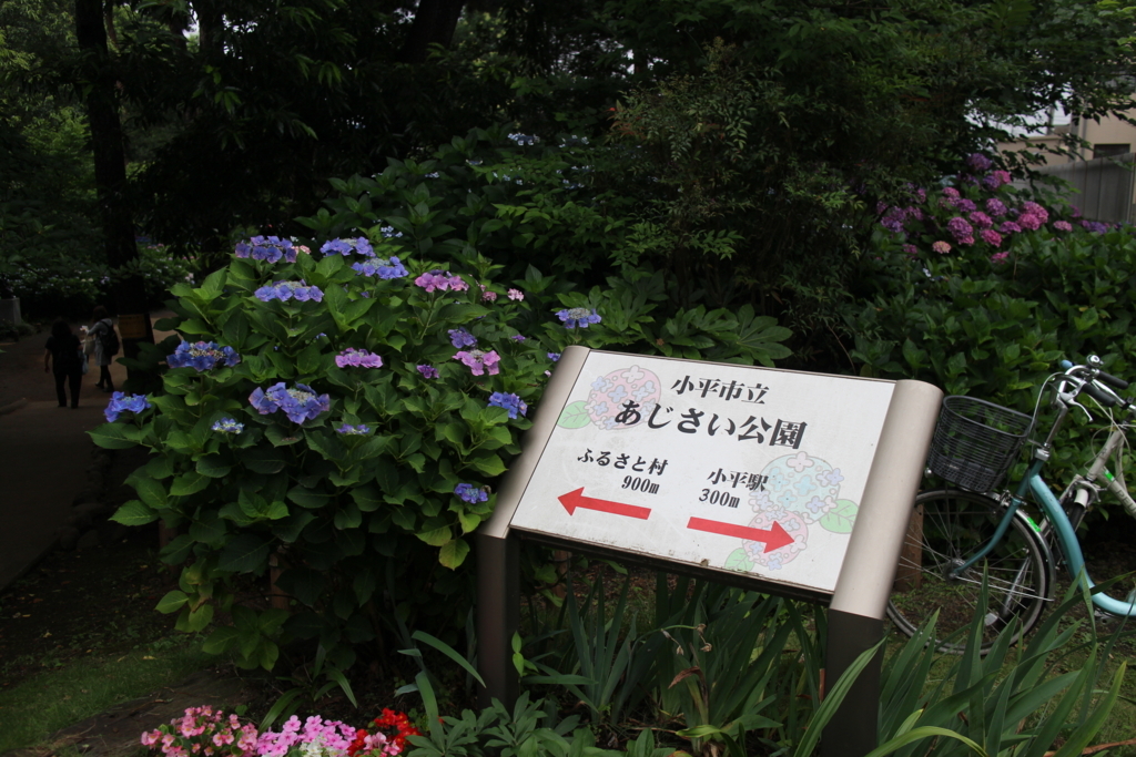 f:id:kokoniko:20180624112727j:plain f:id:kokoniko:20180624112727j:plain