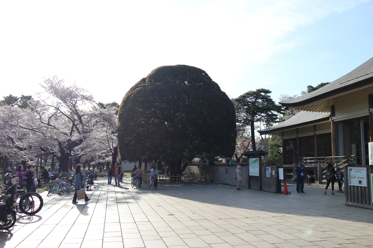 f:id:kokoniko:20190407203519j:plain f:id:kokoniko:20190407203519j:plain