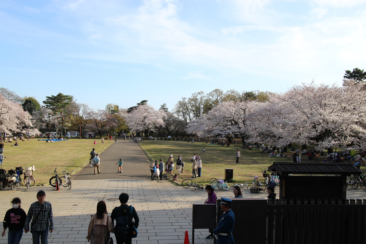 f:id:kokoniko:20190407203653j:plain f:id:kokoniko:20190407203653j:plain