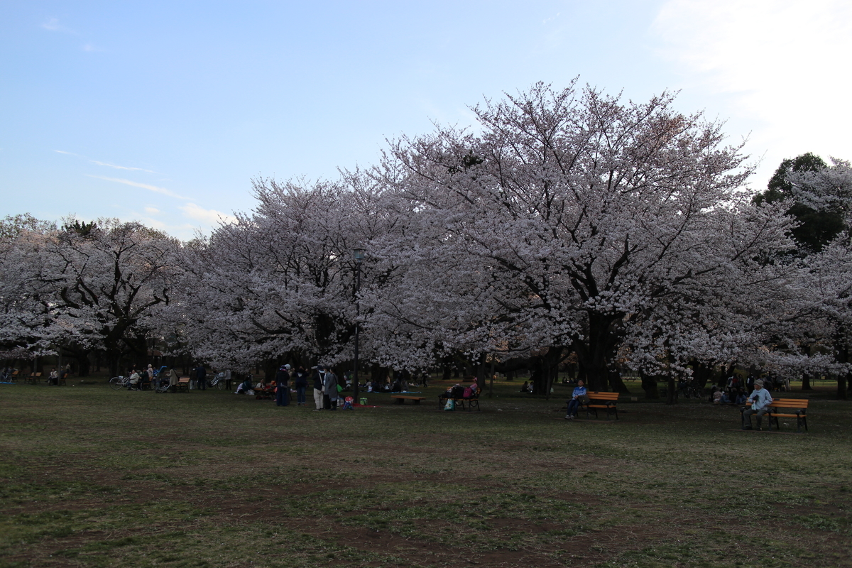 f:id:kokoniko:20190407205317j:plain f:id:kokoniko:20190407205317j:plain