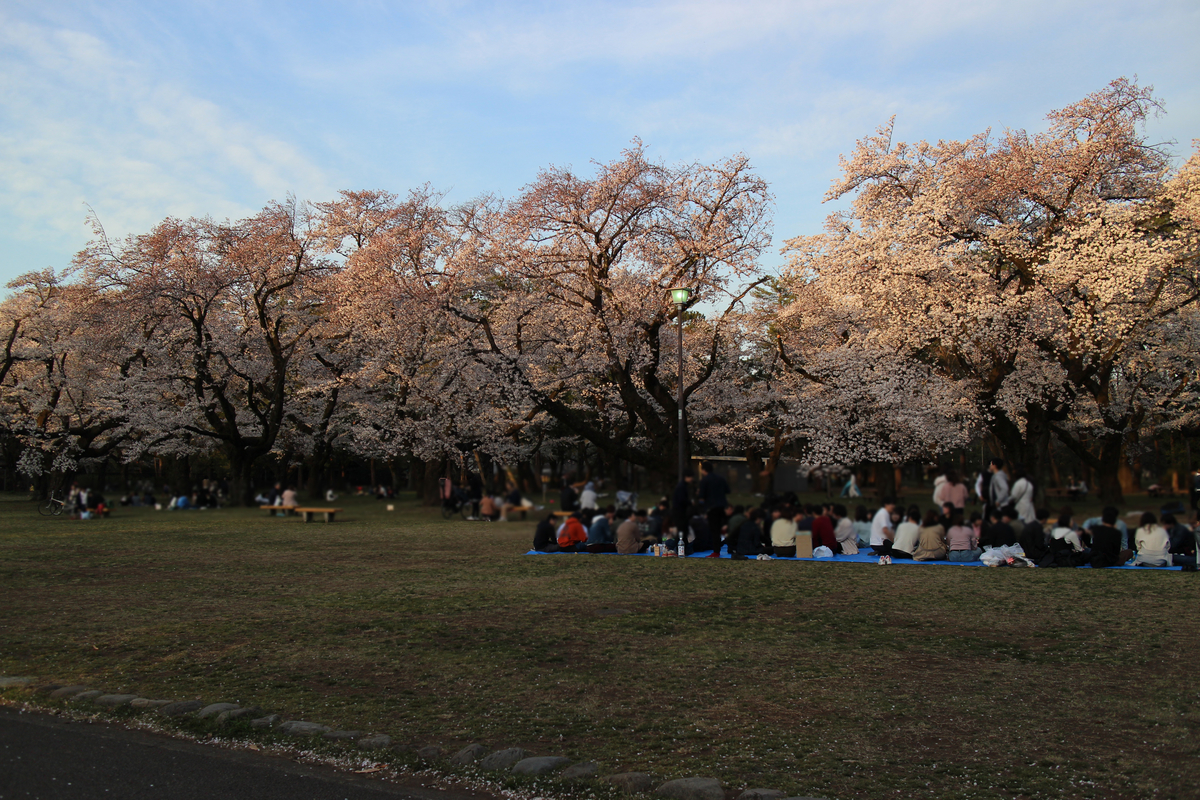 f:id:kokoniko:20190407205350j:plain f:id:kokoniko:20190407205350j:plain