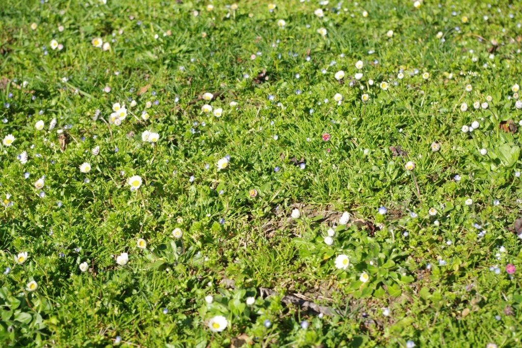 f:id:kokonisumitai:20180405203359j:plain