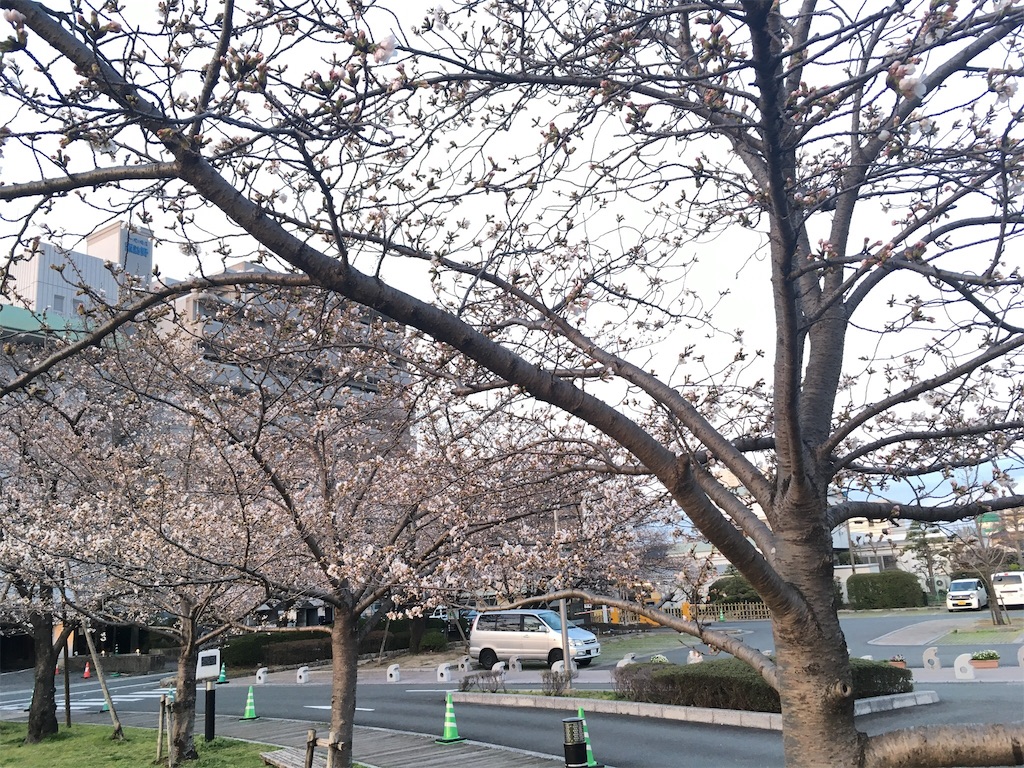 f:id:kokono2122:20180324075136j:image