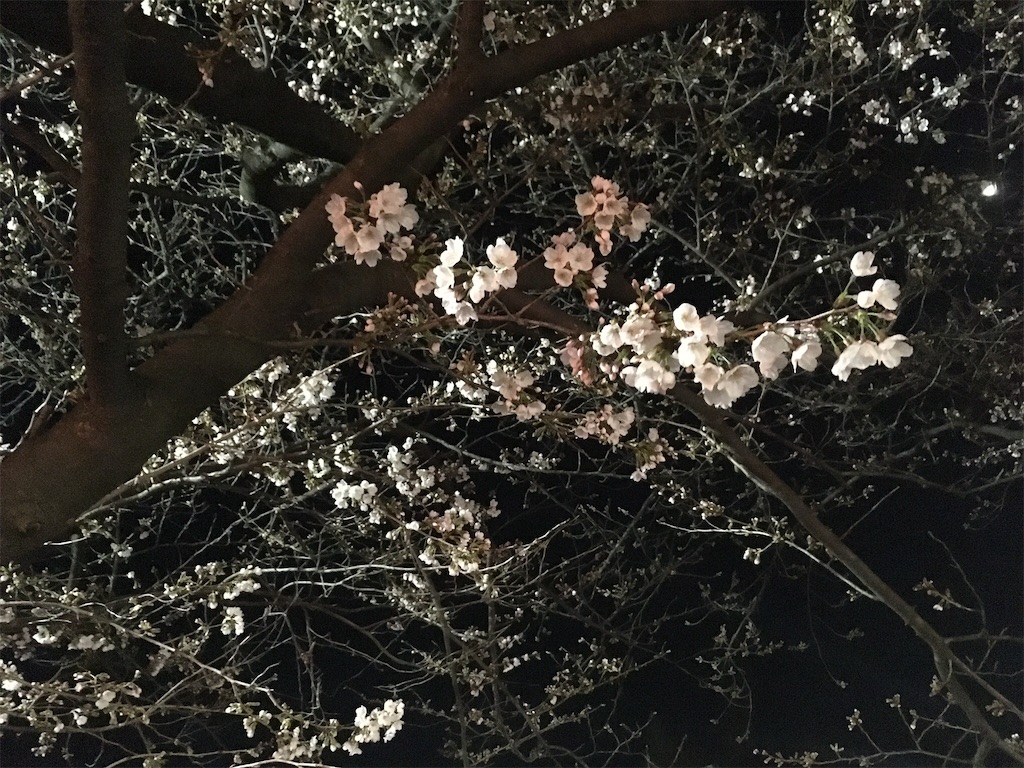 f:id:kokono2122:20180324075345j:image