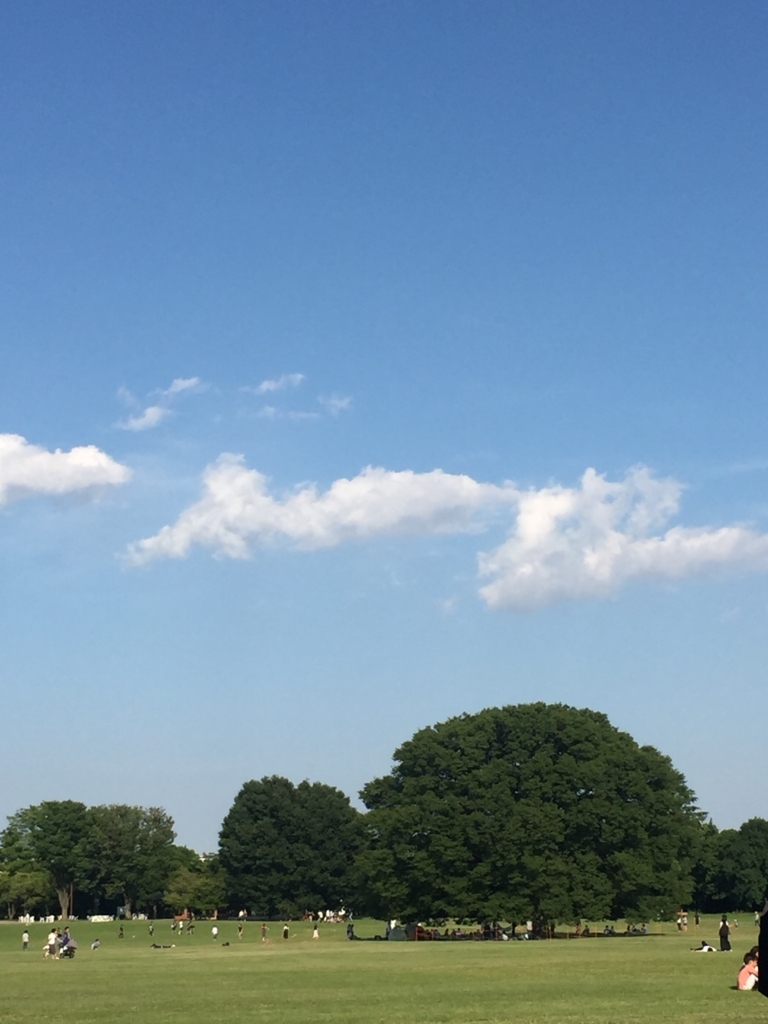 f:id:kokonomomoko:20180604032944j:plain f:id:kokonomomoko:20180604032944j:plain