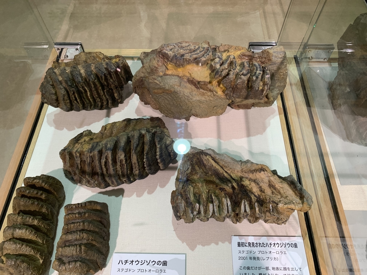 f:id:kokonomomoko:20190924033607j:plain