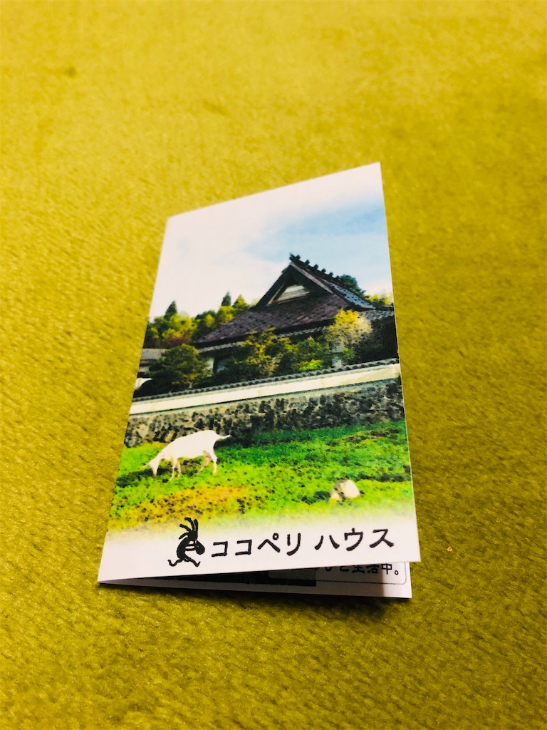 f:id:kokopellisalon:20190202092336j:image f:id:kokopellisalon:20190202092336j:image