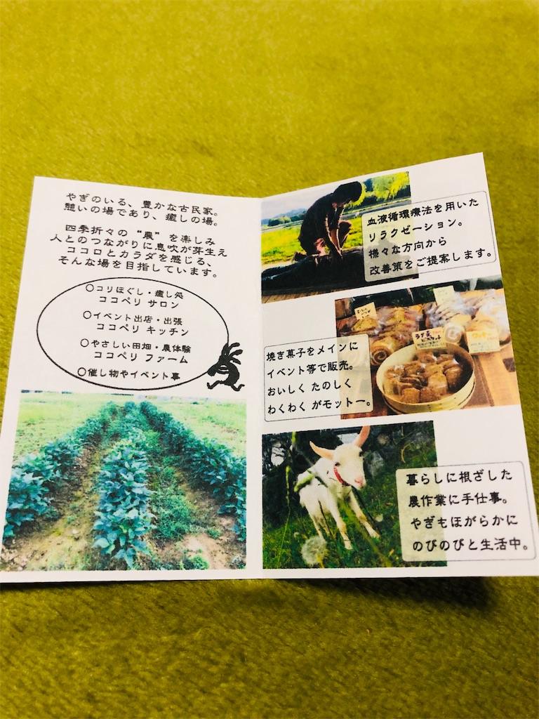 f:id:kokopellisalon:20190202093239j:image f:id:kokopellisalon:20190202093239j:image
