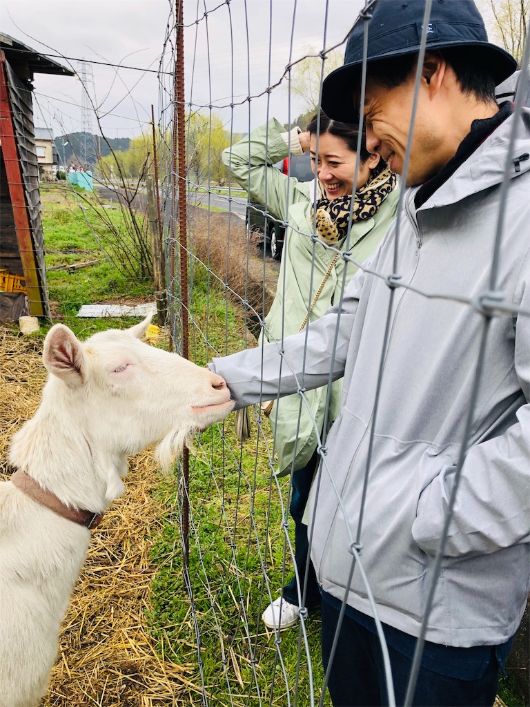 f:id:kokopellisalon:20190404212753j:image f:id:kokopellisalon:20190404212753j:image
