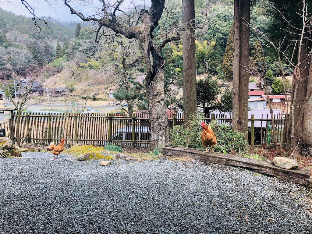 f:id:kokopellisalon:20190404214023j:image f:id:kokopellisalon:20190404214023j:image