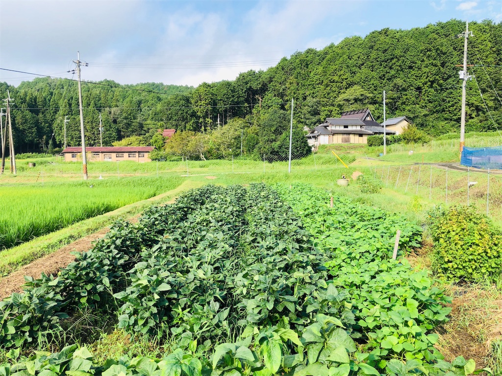 f:id:kokopellisalon:20190908120448j:image