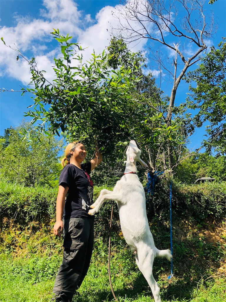 f:id:kokopellisalon:20190908123803j:image