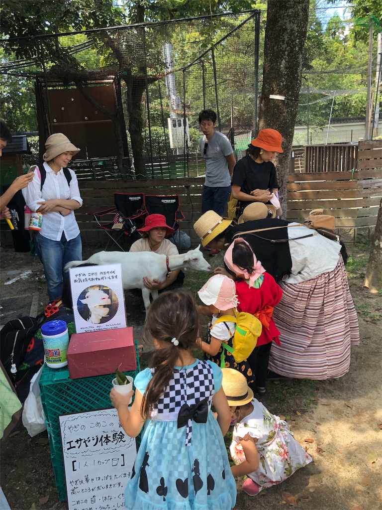 f:id:kokopellisalon:20190915063404j:image f:id:kokopellisalon:20190915063404j:image