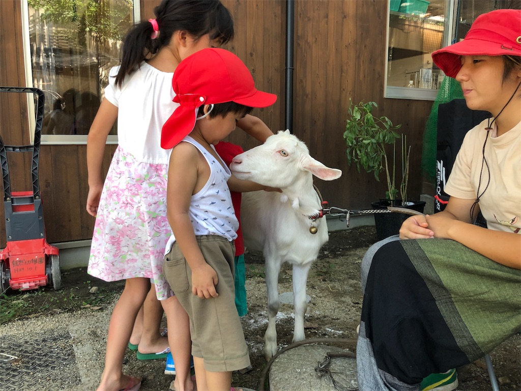 f:id:kokopellisalon:20190915064323j:image f:id:kokopellisalon:20190915064323j:image