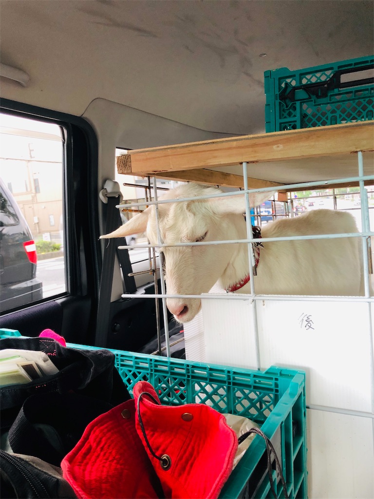 f:id:kokopellisalon:20190915065609j:image f:id:kokopellisalon:20190915065609j:image