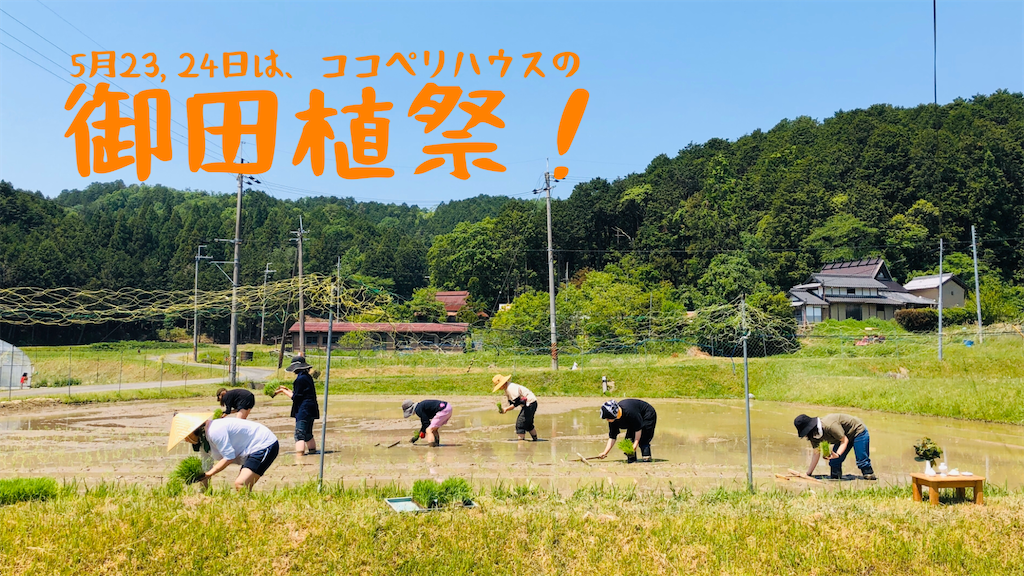 f:id:kokopellisalon:20200520064127p:image