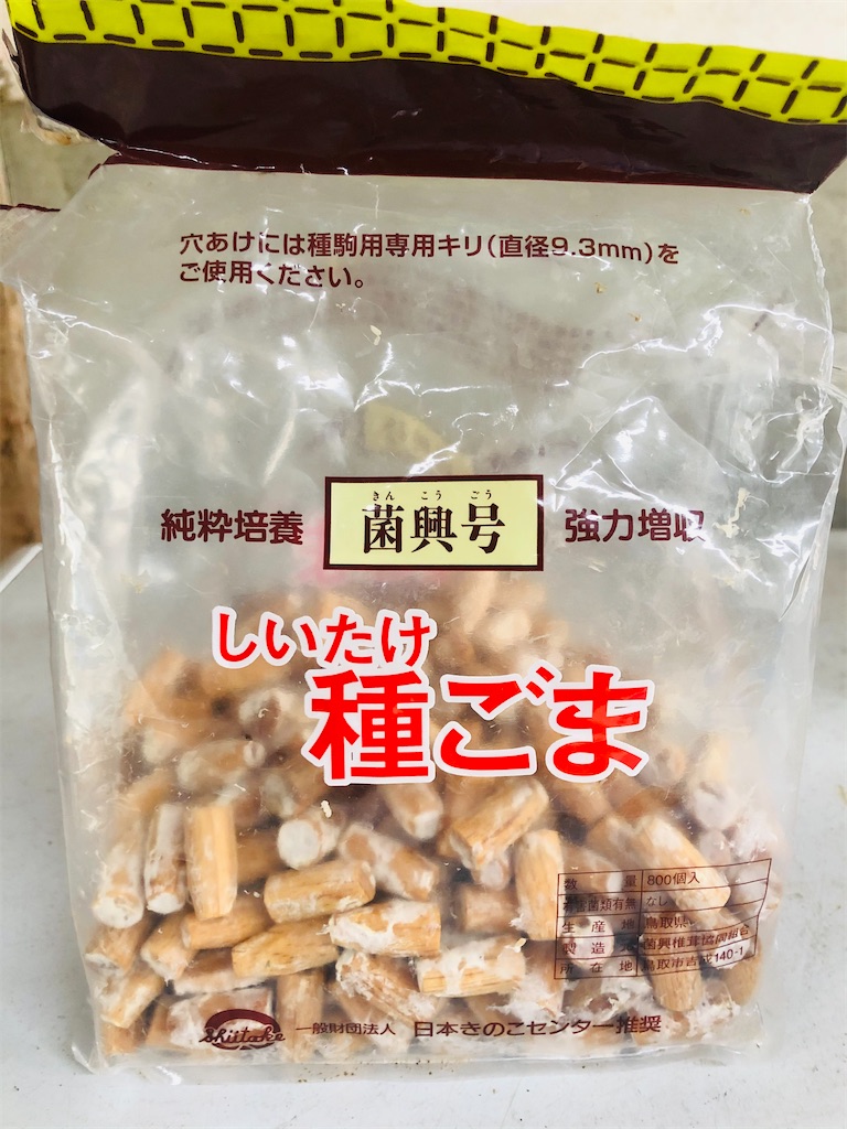 f:id:kokopellisalon:20210317135403j:image