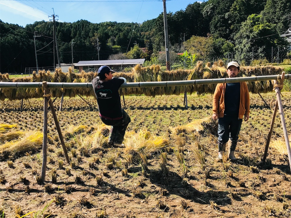 f:id:kokopellisalon:20231022203532j:image