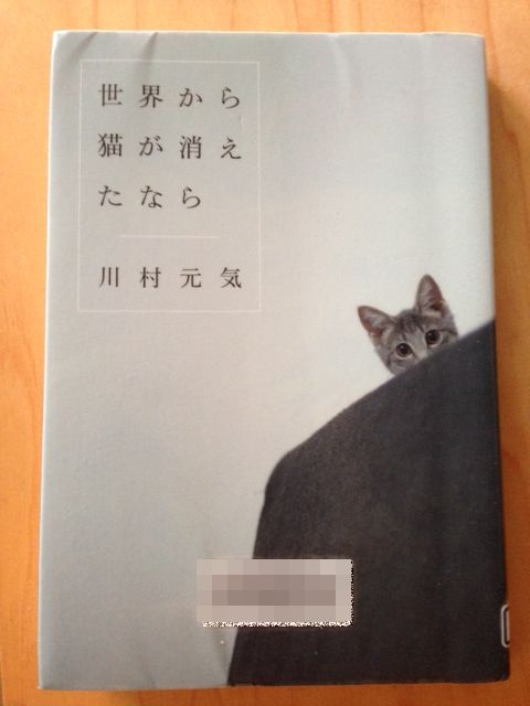 sekaneko.jpg