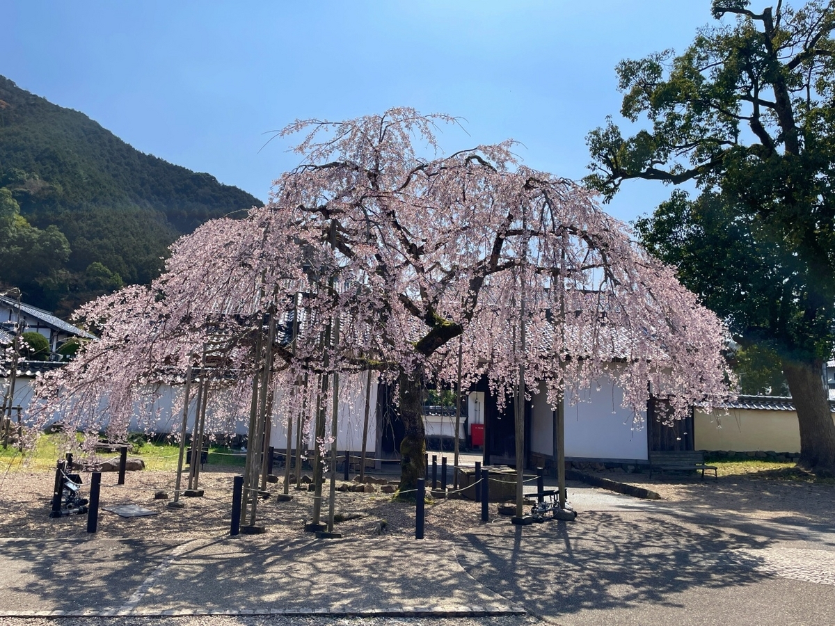 Amazon.co.jp: 絵図 （城郭図） 兵庫県 但馬國 出石城 仙石氏
