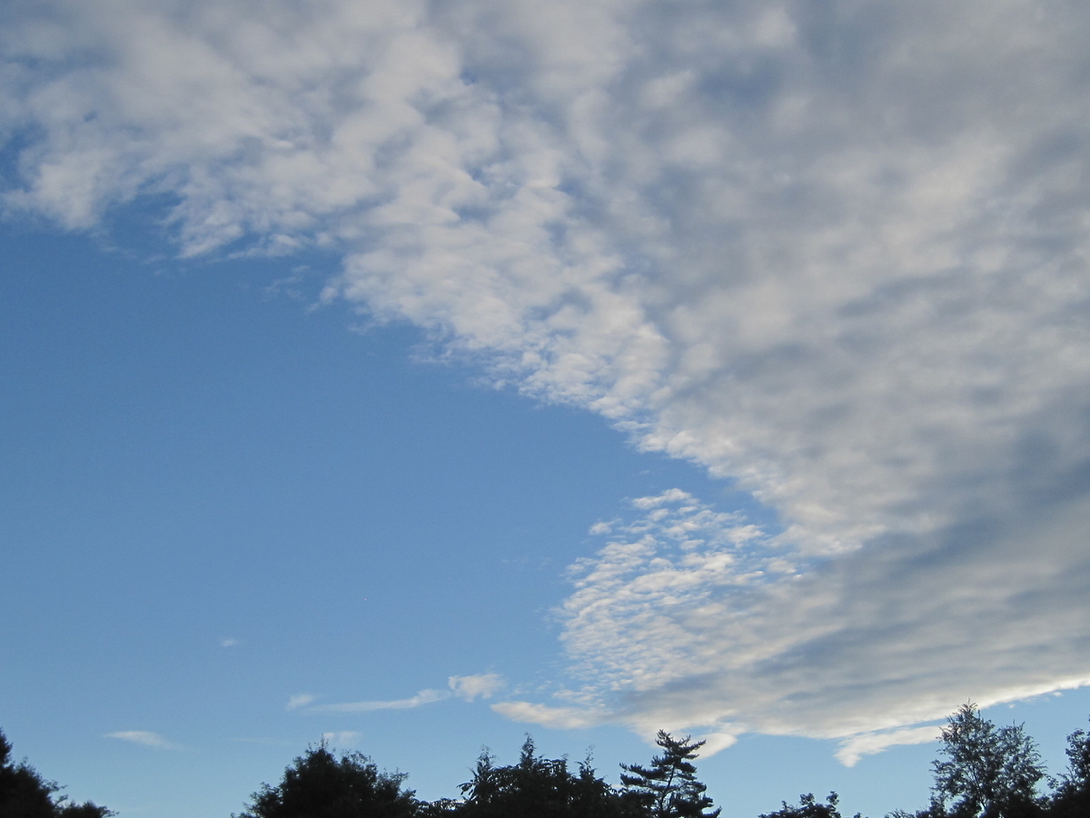 昨朝の空。日が昇ったら綺麗な青空が広がった。