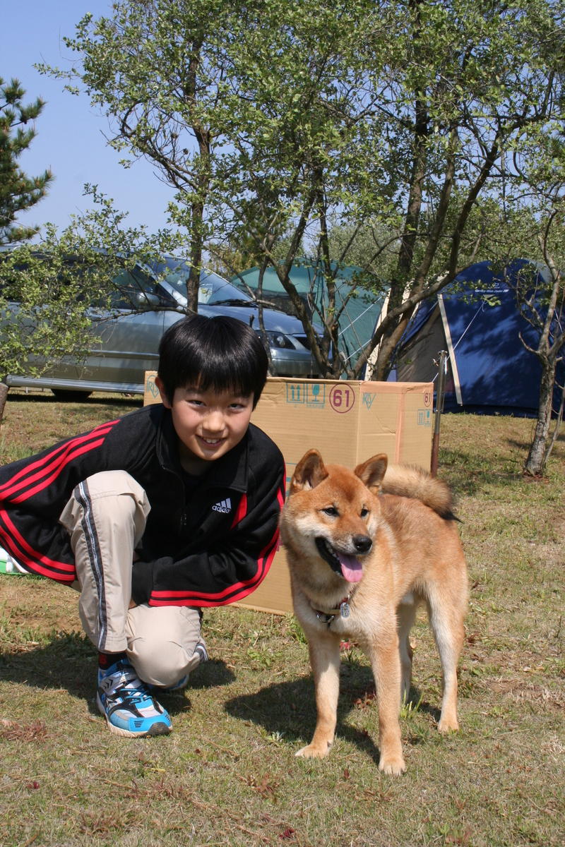 f:id:kokoro-no-kaihou:20210727170436j:plain