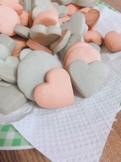f:id:kokoro-ono2:20201102122748j:plain