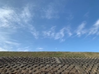 f:id:kokoro-ono2:20201116125325j:plain