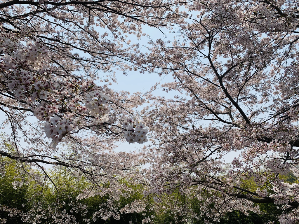 f:id:kokoro-ono2:20210417120935j:plain