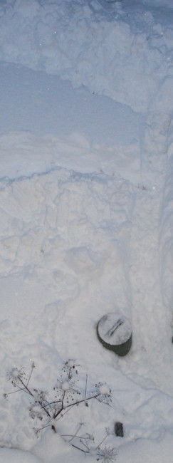 f:id:kokoro2324:20100905075842j:image f:id:kokoro2324:20100905075842j:image