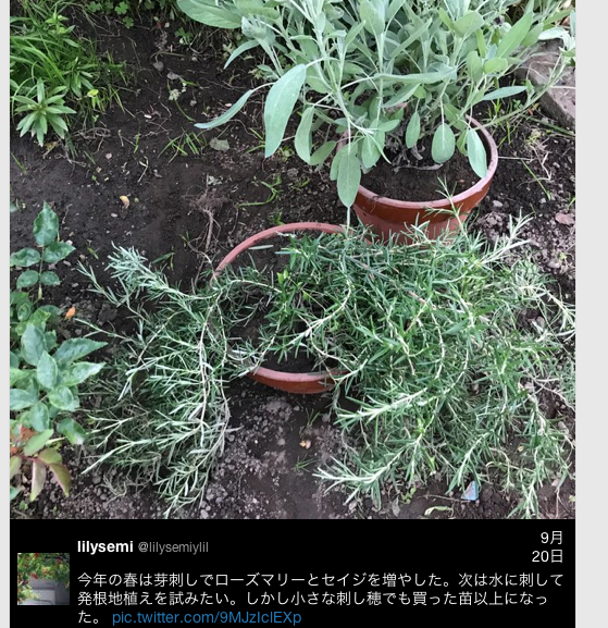 f:id:kokoro2324:20180924091813p:image f:id:kokoro2324:20180924091813p:image